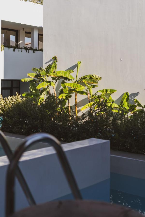 Cavo Vezal (Adults Only) Otel Laganas Dış mekan fotoğraf